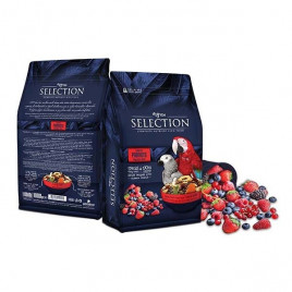 750 Gr 10 Çeşit Gerçek Meyveli Papağan Yemi | Kuş Yemi 750 Gr 10 Çeşit Gerçek Meyveli Papağan Yemi | Kuş Yemi