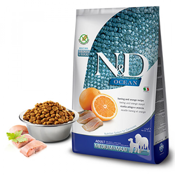 N&D Ocean 2.5 Kg Morina Balkabağı ve Portakal | Tahılsız Köpek Kuru Maması