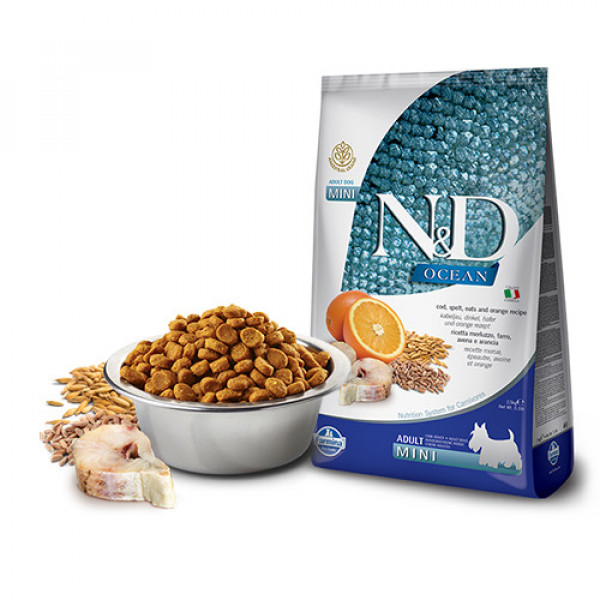N&D Ocean 7 Kg Mini Morina Kılçıksız Buğday Yulaf ve Portakal | Yetişkin Köpek Kuru Maması