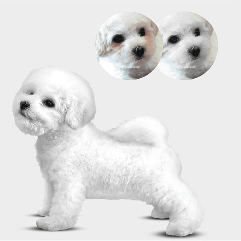 Nature's Protection 17 Kg Junior Puppy White Coat Somon | Yavru Köpek Kuru Maması