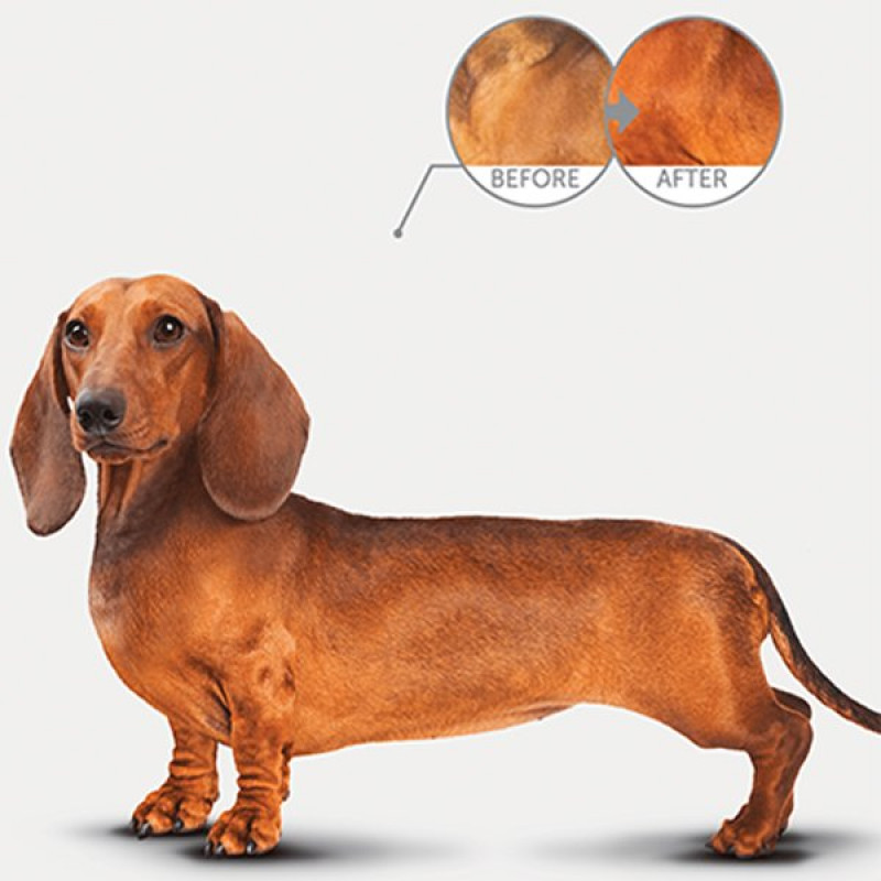 Natures Protection 1.5 Kg Adult Kümes Hayvanlı Kırmızı Tüylü Yetişkin | Yetişkin Köpek Kuru Maması