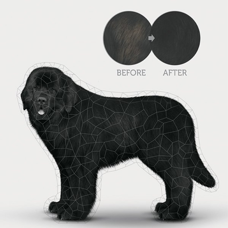 Natures Protection 1.5 Kg Adult Kümes Hayvanlı Siyah Tüylü Yetişkin | Yetişkin Köpek Kuru Maması