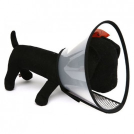 62 cm Köpek Elizabet Yakalık No:2