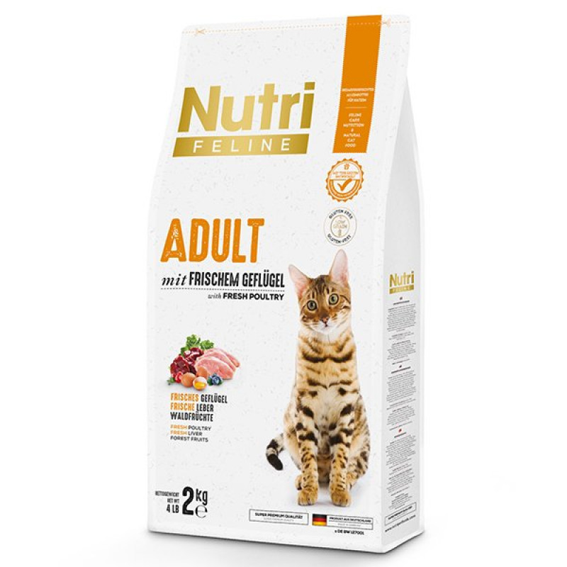 Nutri Feline 2 Kg Adult Poultry Kümes Hayvanlı Yetişkin | Yetişkin Kuru Kedi Maması Nutri Feline 2 Kg Adult Poultry Kümes Hayvanlı Yetişkin | Yetişkin Kuru Kedi Maması