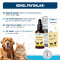 OneVet Multi Vitamin Kedi ve Köpekler İçin Gelişim ve Bağışıklık Destekleyici Damla 50 Ml