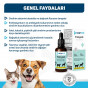 OneVet Prebiotik Kedi ve Köpekler İçin Sindirim Sistemi Destekleyici Damla 50 Ml