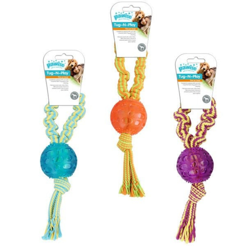 Pawise 32 Cm Toplu Diş İpi | Köpek Diş İpi Pawise 32 Cm Toplu Diş İpi | Köpek Diş İpi