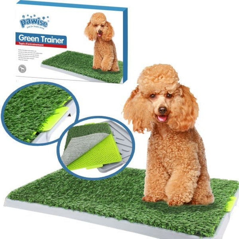 Pawise 43x67 Cm Yapay Çimli Çiş Eğitimi Tuvalet Kabı | Köpek Çiş Alıştırma Pedi Pawise 43x67 Cm Yapay Çimli Çiş Eğitimi Tuvalet Kabı | Köpek Çiş Alıştırma Pedi