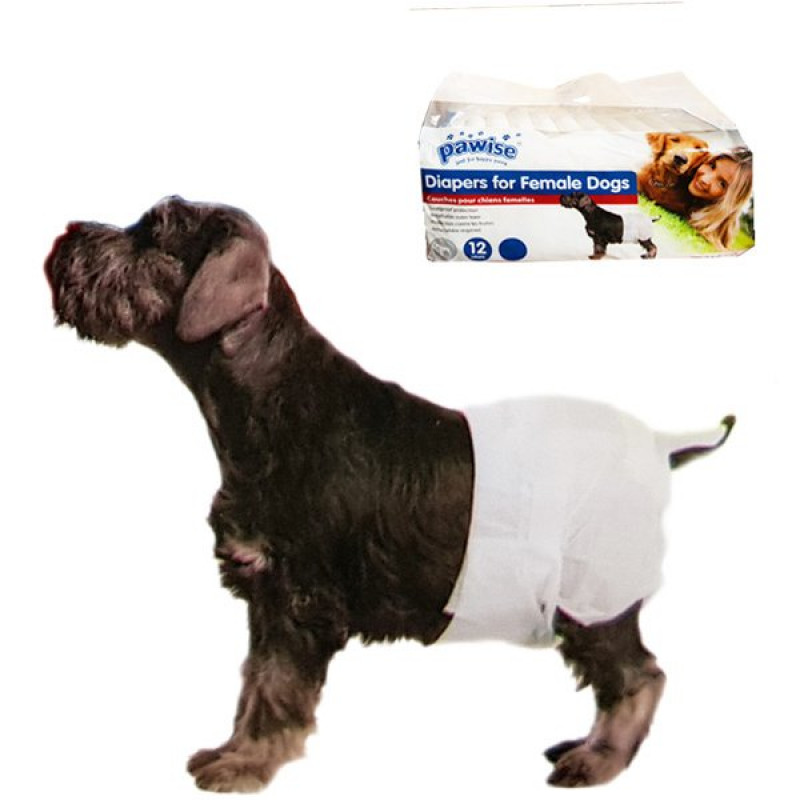 Pawise Alt Bağlama Bezi S Boy 12 Adet | Köpek Çiş Alıştırma Pedi Pawise Alt Bağlama Bezi S Boy 12 Adet | Köpek Çiş Alıştırma Pedi