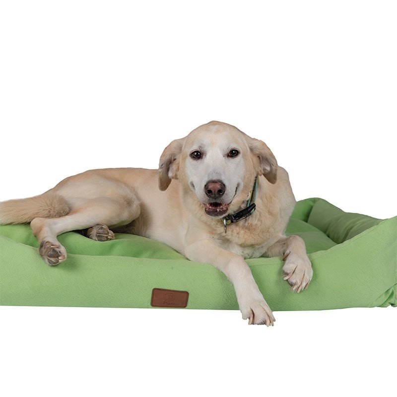 Peggy 80x60x23 Cm Luna Yatak Fıstık Yeşili Large | Kumaş Köpek Yatağı