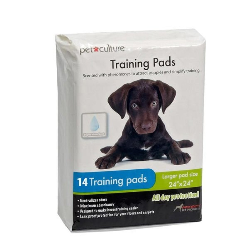 Pet Culture 14 Adet Tuvalet Alıştırma Pedi 60x60 Cm | Köpek Çiş Alıştırma Pedi Pet Culture 14 Adet Tuvalet Alıştırma Pedi 60x60 Cm | Köpek Çiş Alıştırma Pedi