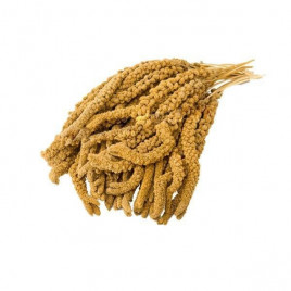 1 Kg Dal Darı Sarı | Kuş Yemi 1 Kg Dal Darı Sarı | Kuş Yemi