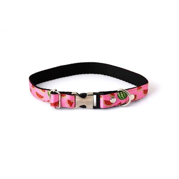 Petzz 2x15-25 Cm Karpuz Desenli Boyun Tasması | Köpek Boyun Tasması