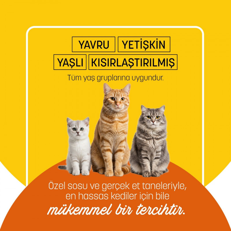 PetzzCats  70 Gr Tavuk Etli Konserve Kedi Maması