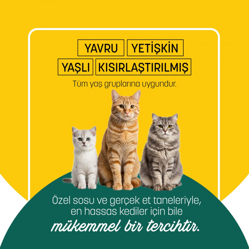 PetzzCats 70 Gr Ton Balığı & Kalamar Konserve Kedi Maması 