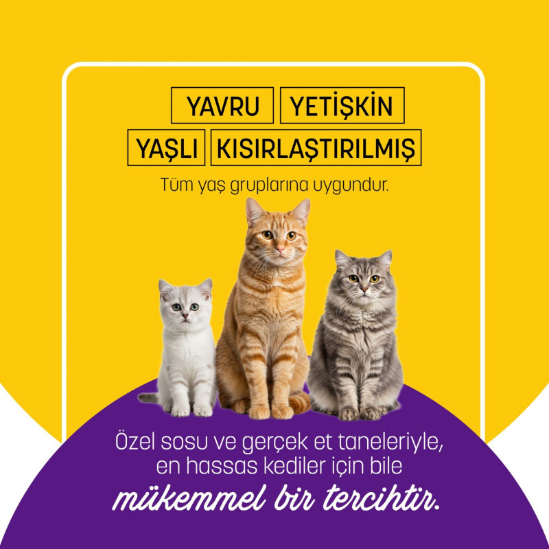PetzzCats 70 Gr Ton Balığı & Midye Konserve Kedi Maması 