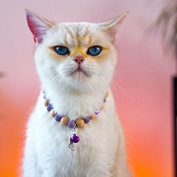 Pnx Pet Ceyt Doğaltaş Künye Mor | Kedi Künyesi Ve Çanı