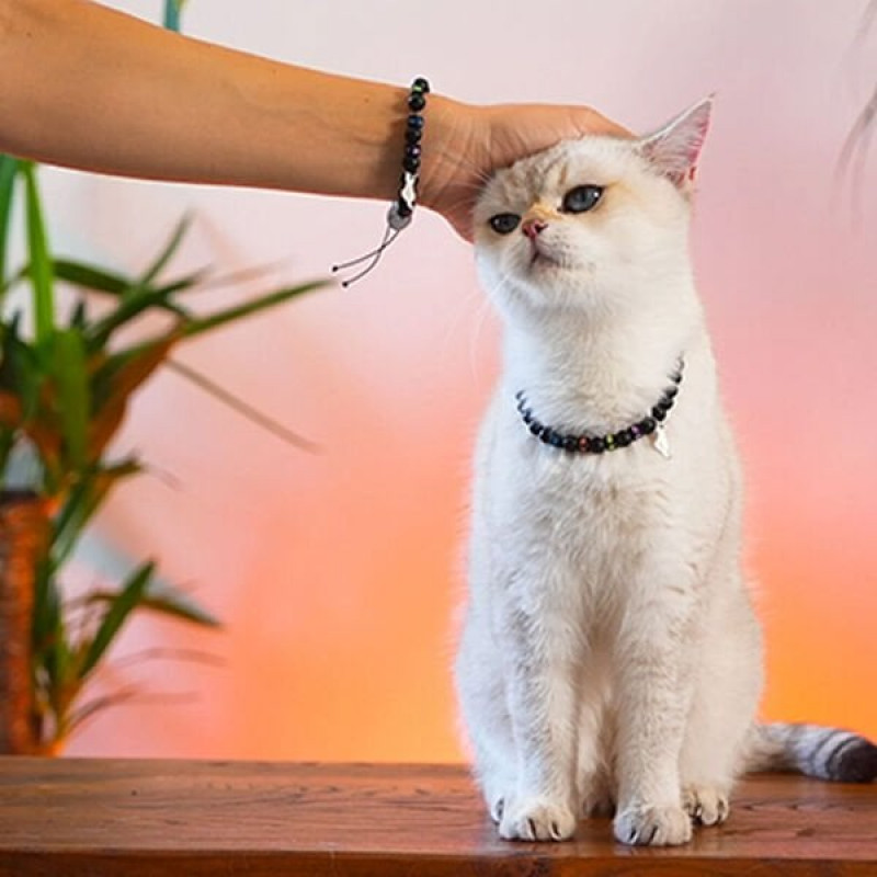 Pnx Pet Hematit Doğaltaş İlahi Koruma Künye | Köpek Kimlik Tipi Ve Künye