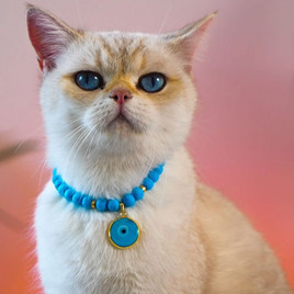 Lav Doğaltaş ve Nazarlıklı Künye Mavi | Köpek Kimlik Tipi Ve Künye Lav Doğaltaş ve Nazarlıklı Künye Mavi | Köpek Kimlik Tipi Ve Künye