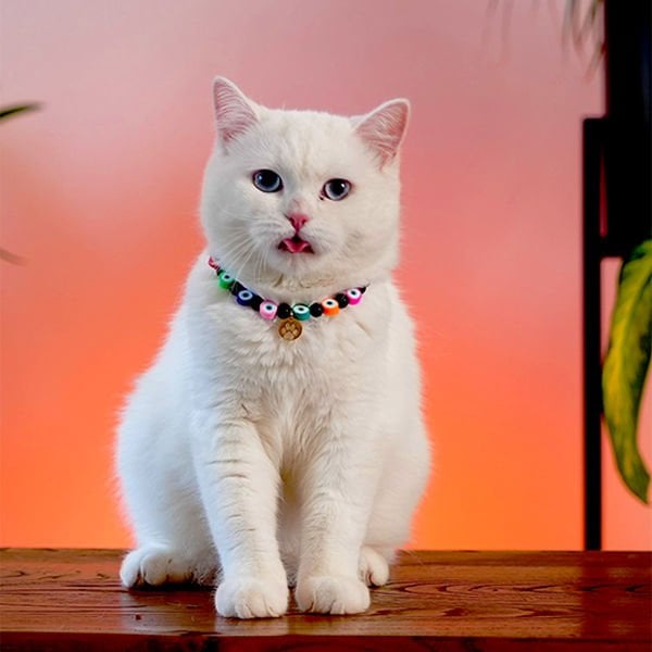 Pnx Pet Onix Doğaltaş Nazar Boncuklu Künye | Köpek Kimlik Tipi Ve Künye