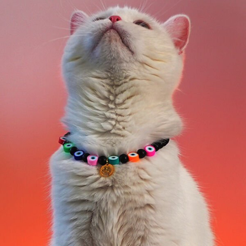 Pnx Pet Onix Doğaltaş Nazar Boncuklu Künye | Köpek Kimlik Tipi Ve Künye