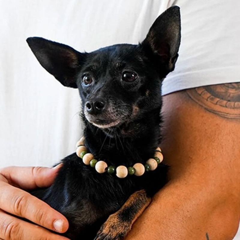 Pnx Pet Yeşim Doğaltaş Künye | Köpek Kimlik Tipi Ve Künye