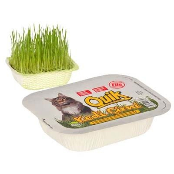 Quik Kedi Ve Kemirgen Çimi | Kedi Çimi