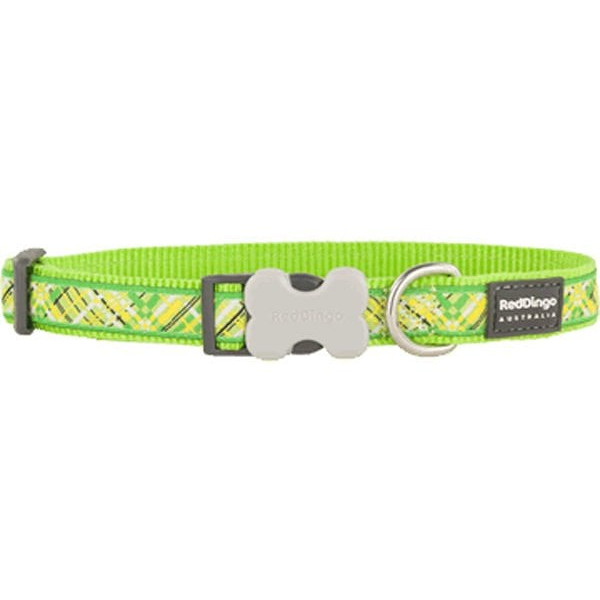 Red Dingo 20 Mm Flanno Desenli Lime Boyun Tasması | Köpek Boyun Tasması