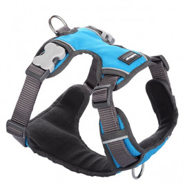 Red Dingo 20 Mm Konfor Turkuaz Polarlı Göğüs Tasması | Köpek Göğüs Tasması Red Dingo 20 Mm Konfor Turkuaz Polarlı Göğüs Tasması | Köpek Göğüs Tasması