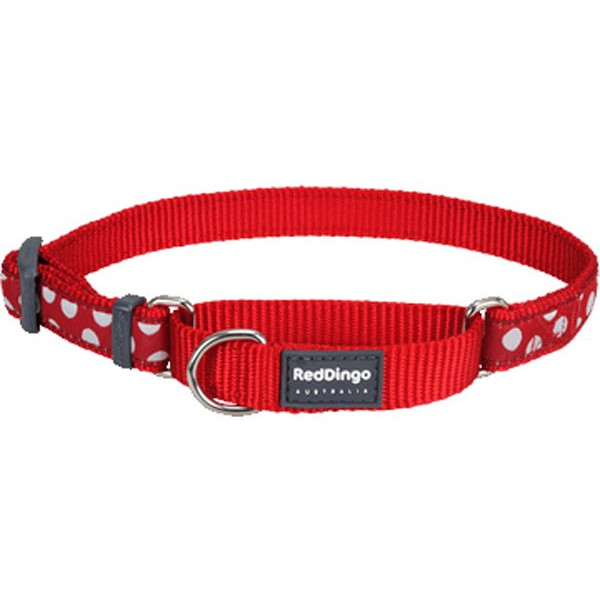 Red Dingo 20mm Kırmızı Üzerine Beyaz Benekli Boyun Eğitim Tasması | Köpek Eğitim Tasması