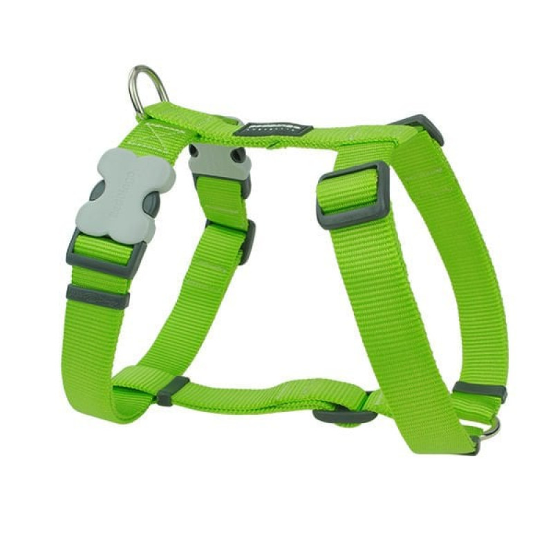 Red Dingo 25 Mm Klasik Lime Göğüs Tasması | Köpek Göğüs Tasması Red Dingo 25 Mm Klasik Lime Göğüs Tasması | Köpek Göğüs Tasması