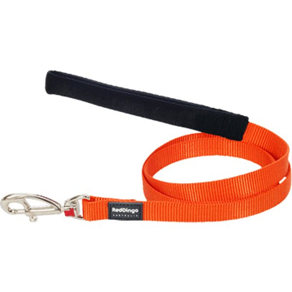 Red Dingo 25mm Klasik Turuncu Uzatma | Köpek Gezdirme Tasması