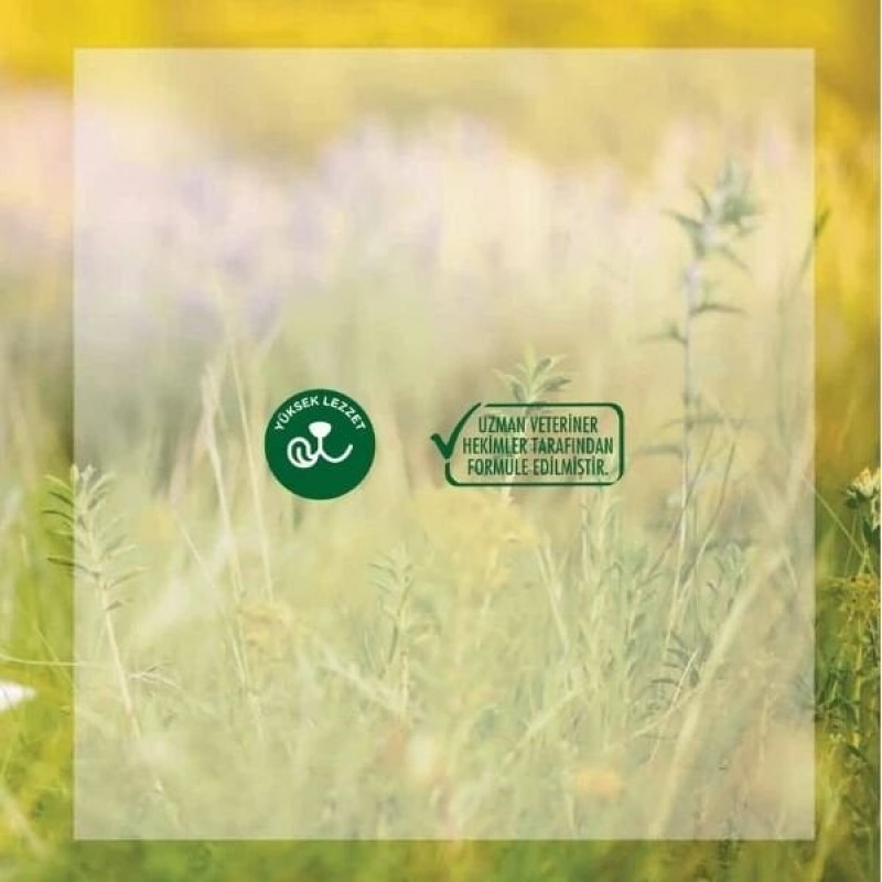 Rico 2 Kg Tavuklu Yavru Kedi Maması 