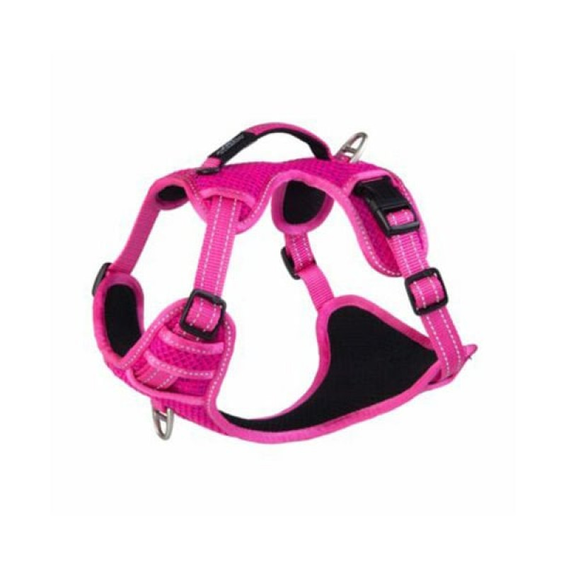 Rogz M Utility Explore Tuig Dolgulu Göğüs Tasması Pembe 2x45-70 Cm | Köpek Göğüs Tasması Rogz M Utility Explore Tuig Dolgulu Göğüs Tasması Pembe 2x45-70 Cm | Köpek Göğüs Tasması