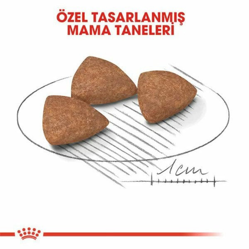 Royal Canin 1,5 Kg Mini İndoor Adult | Yetişkin Köpek Kuru Maması