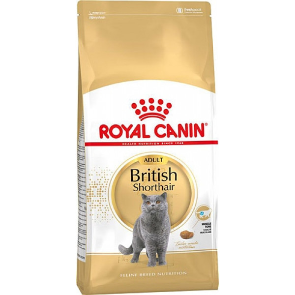 Royal Canin 10 Kg British Shorthair Adult | Özel Irk Kuru Kedi Maması