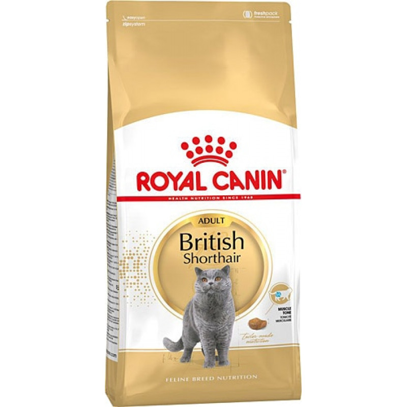 Royal Canin 10 Kg British Shorthair Adult | Özel Irk Kuru Kedi Maması Royal Canin 10 Kg British Shorthair Adult | Özel Irk Kuru Kedi Maması