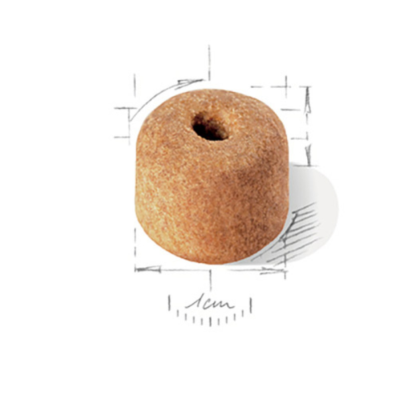 Royal Canin 12 Kg Labrador Retriever Adult | Yetişkin Köpek Kuru Maması