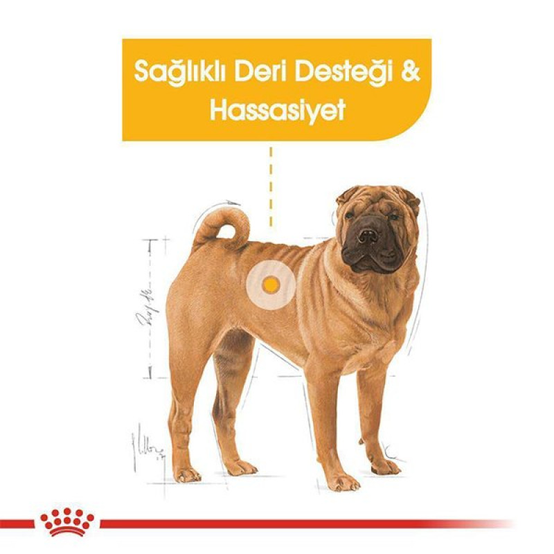 Royal Canin 12 Kg Medium Dermacomfort | Yetişkin Köpek Kuru Maması
