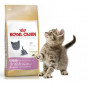 Royal Canin 2 Kg Kitten British Shorthair Yavru | Yavru Kedi Kuru Maması