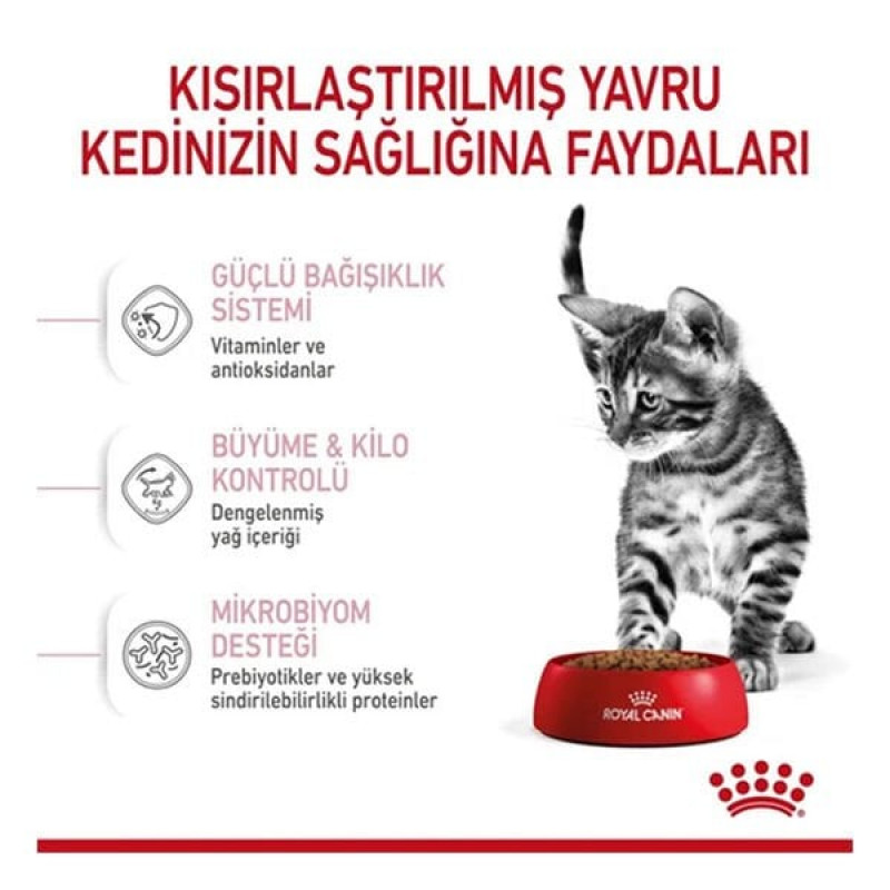 Royal Canin 2 Kg Kitten Sterilised | Kısırlaştırılmış Kedi Maması