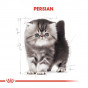 Royal Canin 2 Kg Persian Kitten | Özel Irk Kuru Kedi Maması