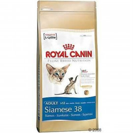 Royal Canin 2 Kg Siamese Siyam Yetişkin | Yetişkin Kuru Kedi Maması Royal Canin 2 Kg Siamese Siyam Yetişkin | Yetişkin Kuru Kedi Maması