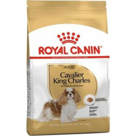 3 Kg Cavalier King Charles Adult | Yetişkin Köpek Kuru Maması 3 Kg Cavalier King Charles Adult | Yetişkin Köpek Kuru Maması