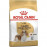 Royal Canin 3 Kg Cavalier King Charles Adult
