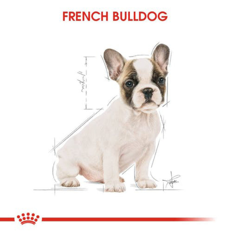 Royal Canin 3 Kg French Bulldog Puppy | Köpek Özel Kuru Mama