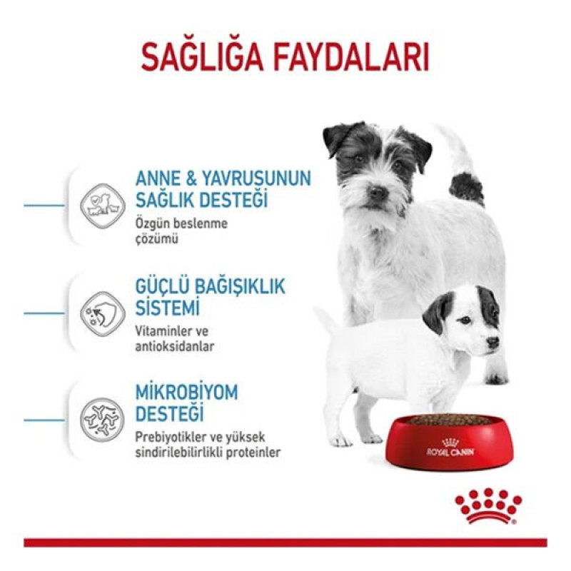 Royal Canin 3 Kg Mini Starter | Yavru Köpek Kuru Maması