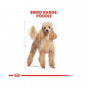 Royal Canin 3 Kg Poodle Adult | Yetişkin Köpek Kuru Maması