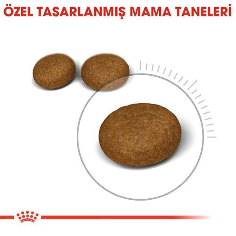 Royal Canin 4 Kg Hair Skin Hassas Tüy Sağlığı | Yetişkin Kuru Kedi Maması