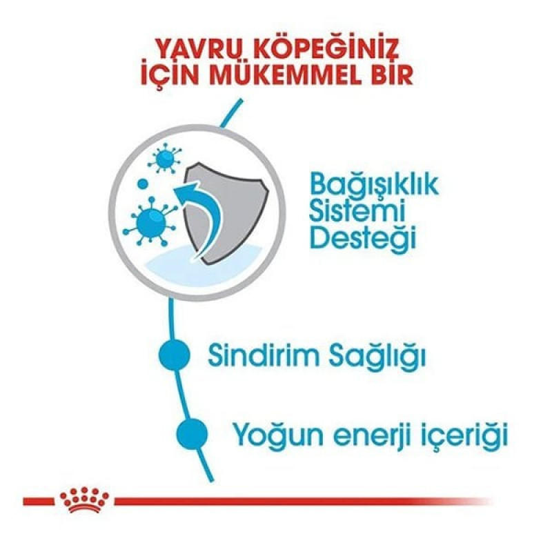 Royal Canin 4 kg Mini Junior | Yavru Köpek Kuru Maması